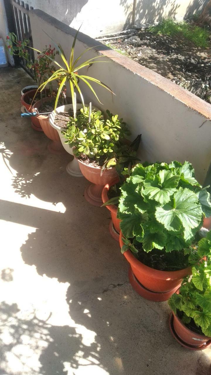 Отдых У Анаиды גגרה מראה חיצוני תמונה